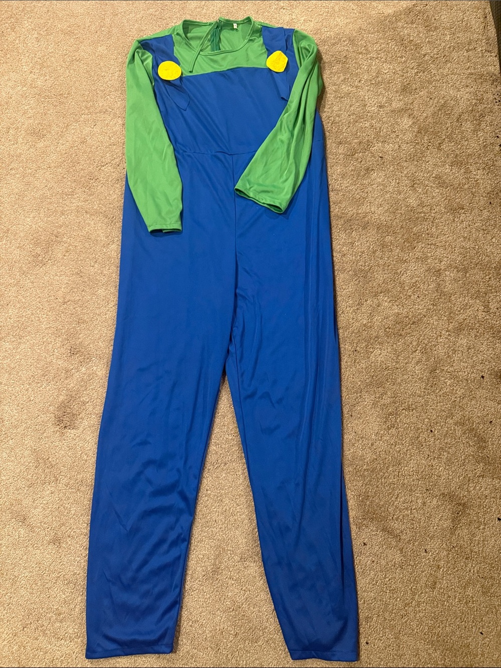 Adults Luigi costume